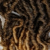 Bobbi Boss: 2X Nu Locs 18" Crochet Locs